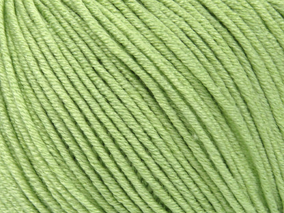 Bamboo Merino Mint Green fnt2-81467
