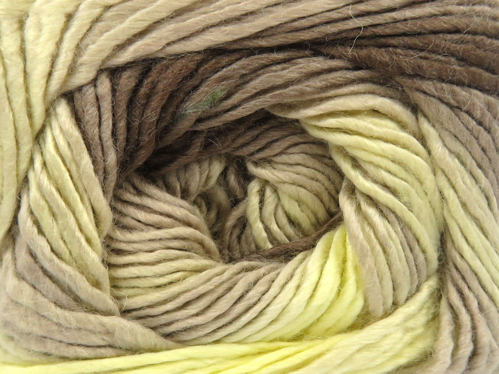 Lana Bella Camel Shades, Cream, Light Yellow fnt2-82259