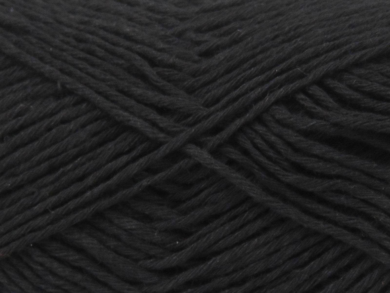 Punch Black fnt2-82560