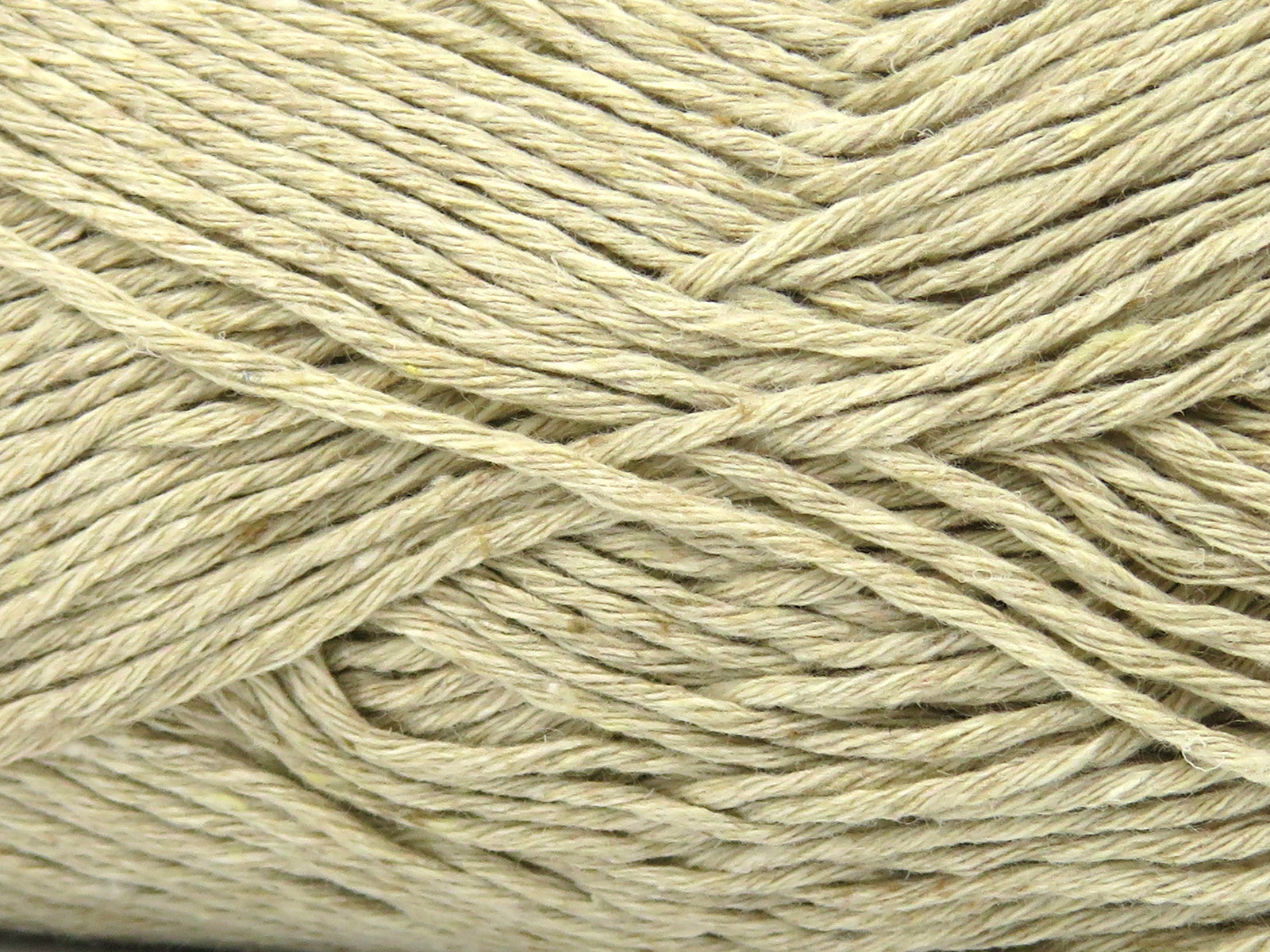Punch Dark Cream fnt2-82566
