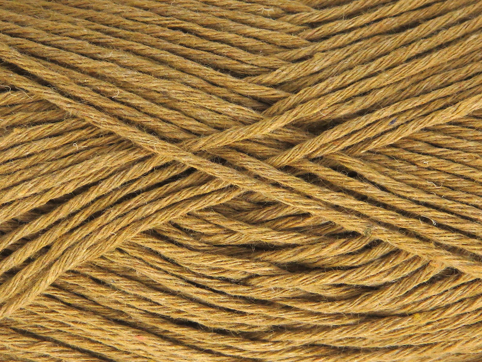 Punch Brown fnt2-82568