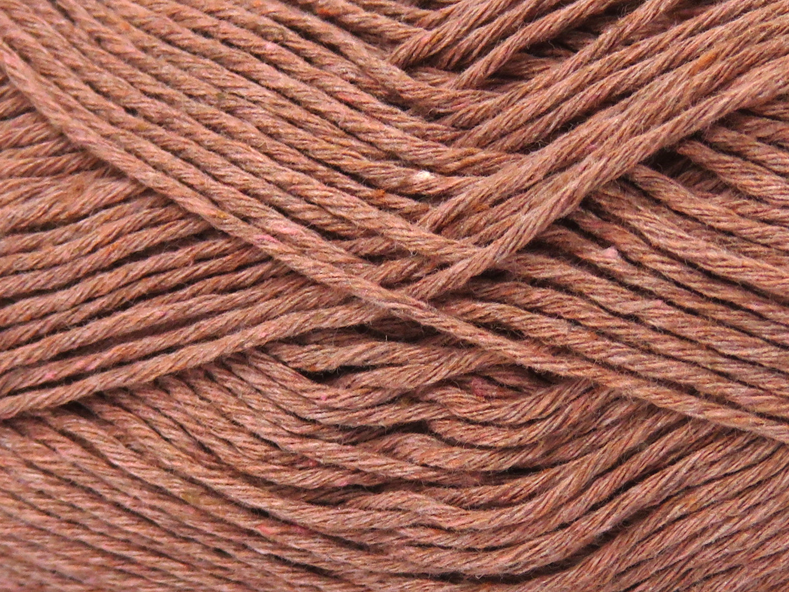 Punch Light Rose Brown fnt2-82569