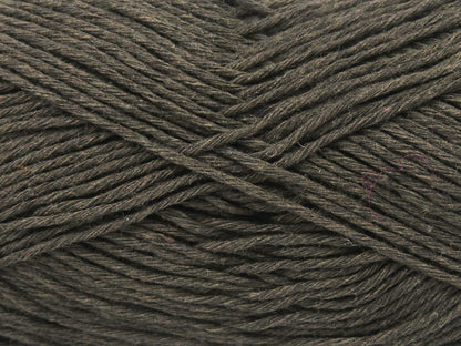 Punch Dark Brown fnt2-82570