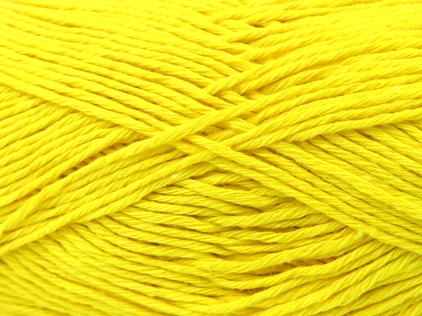 Punch Yellow fnt2-82576