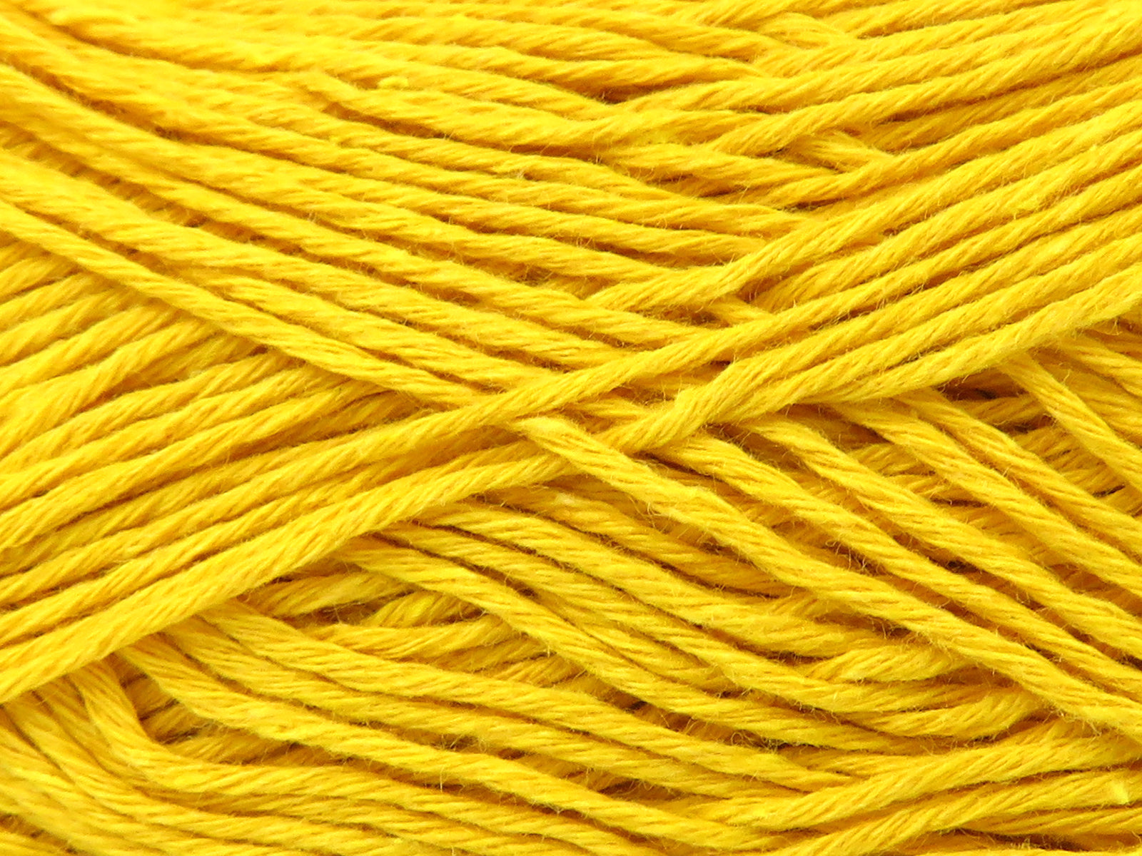 Punch Gold fnt2-82577