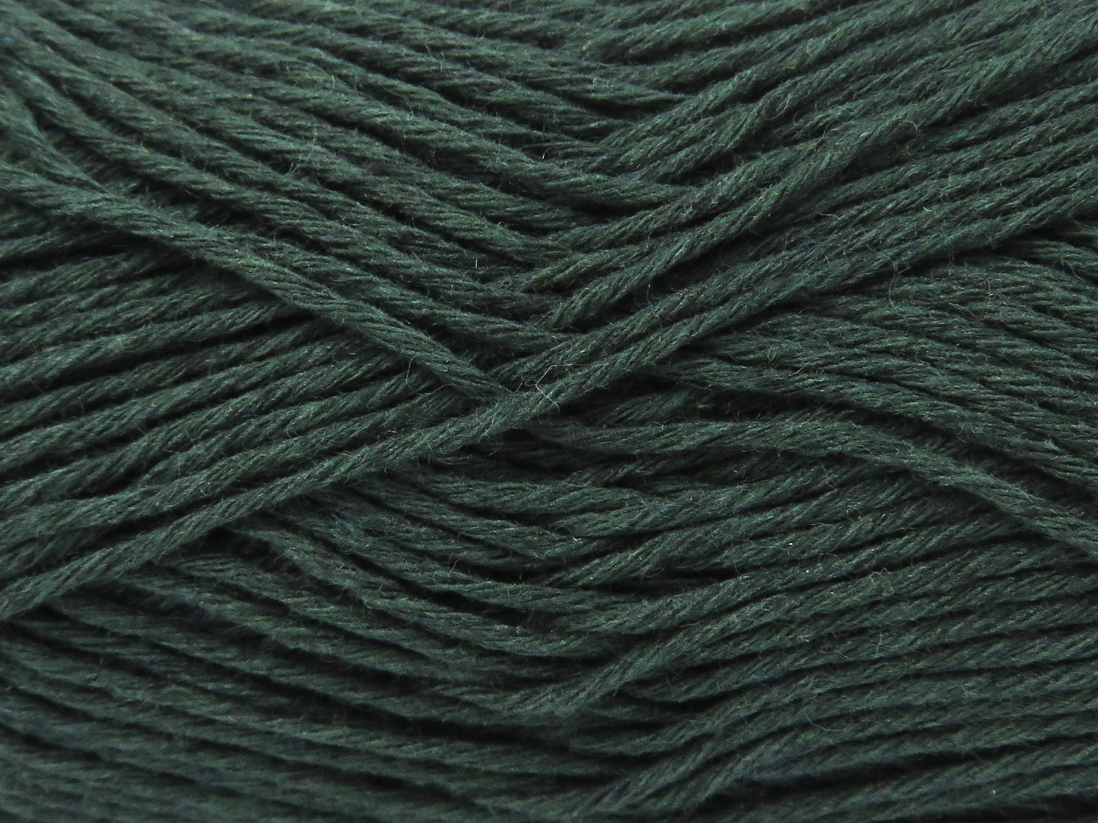 Punch Dark Green fnt2-82583