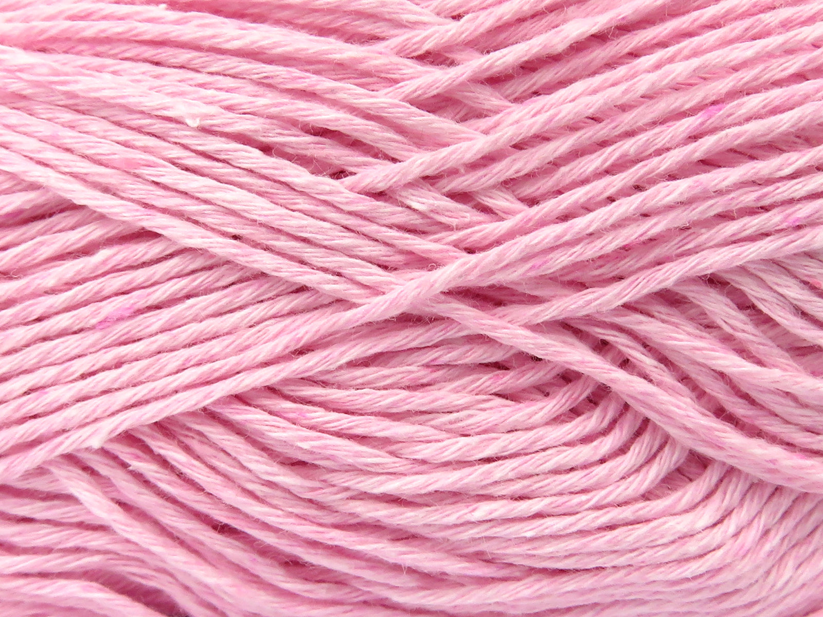 Punch Light Baby Pink fnt2-82591
