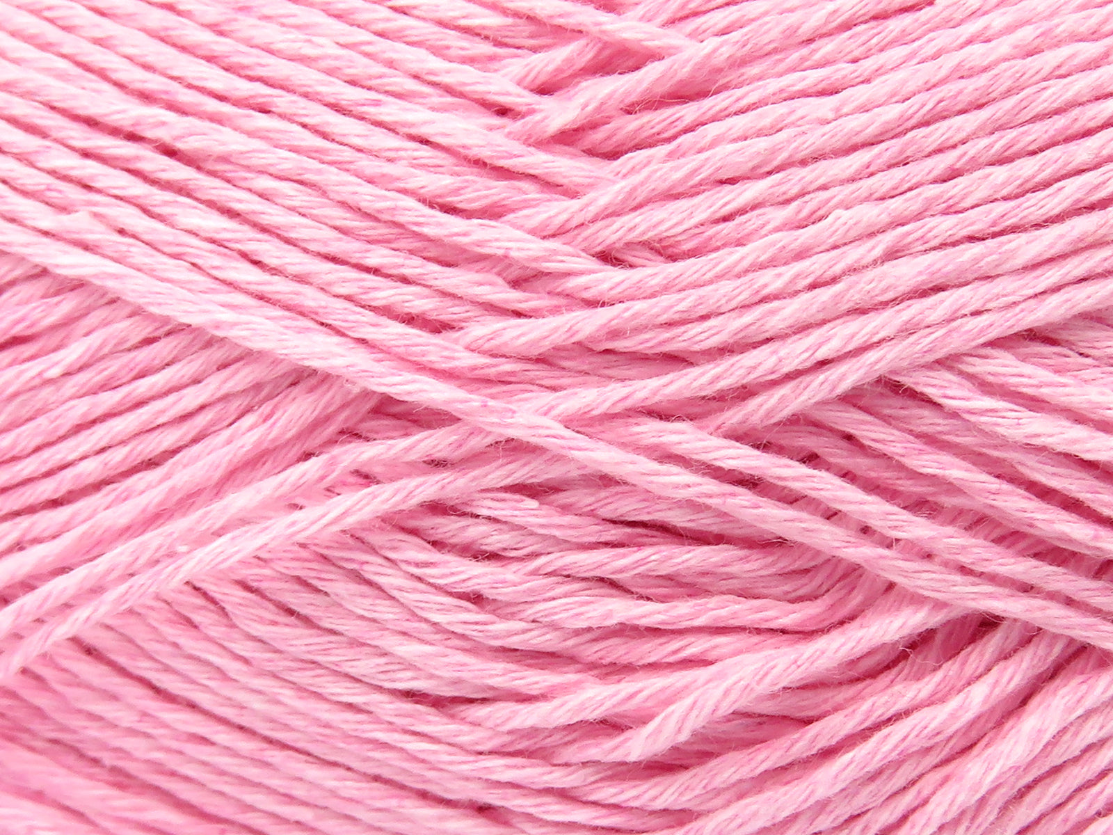Punch Baby Pink fnt2-82592