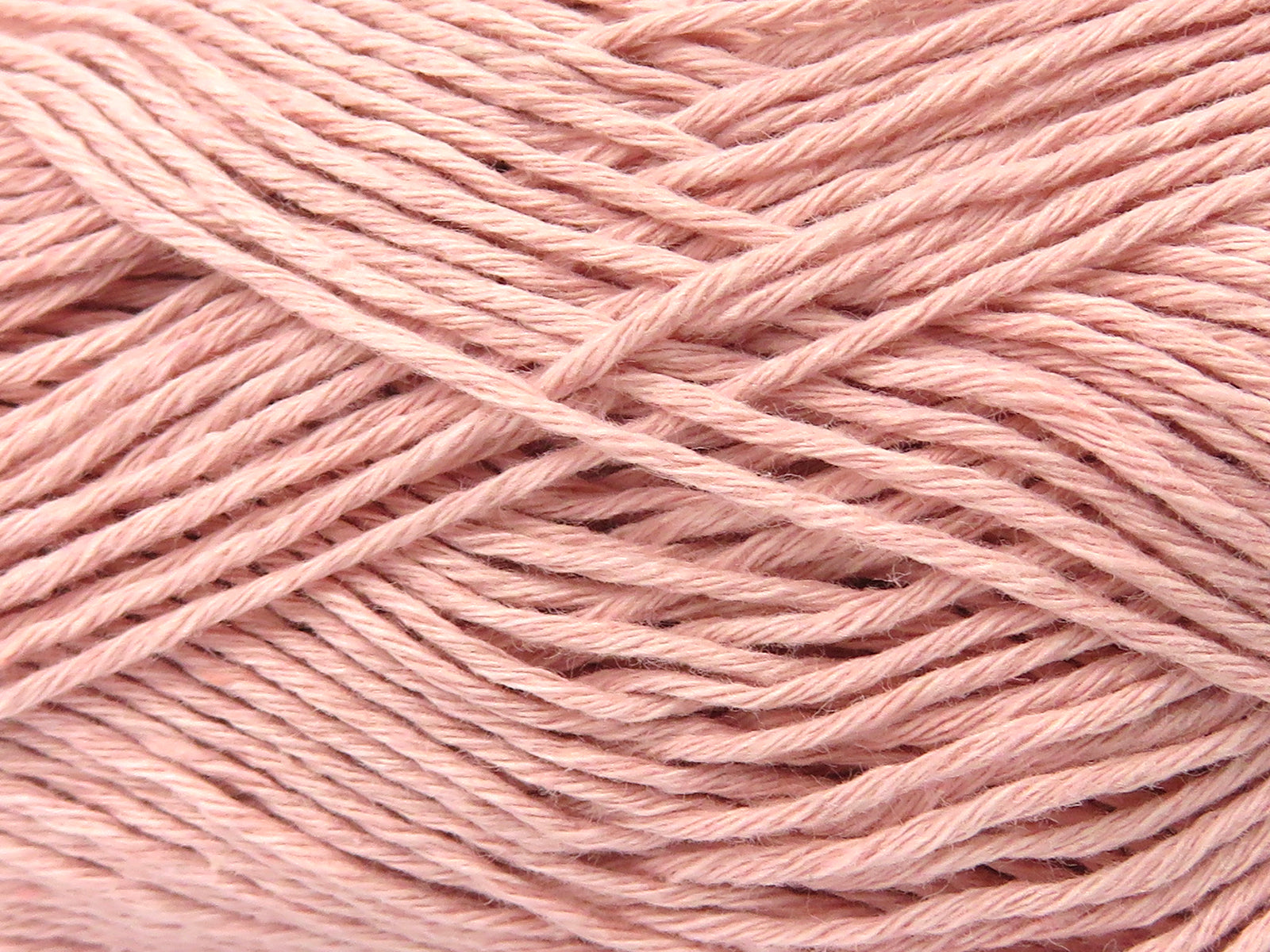 Punch Antique Pink fnt2-82593