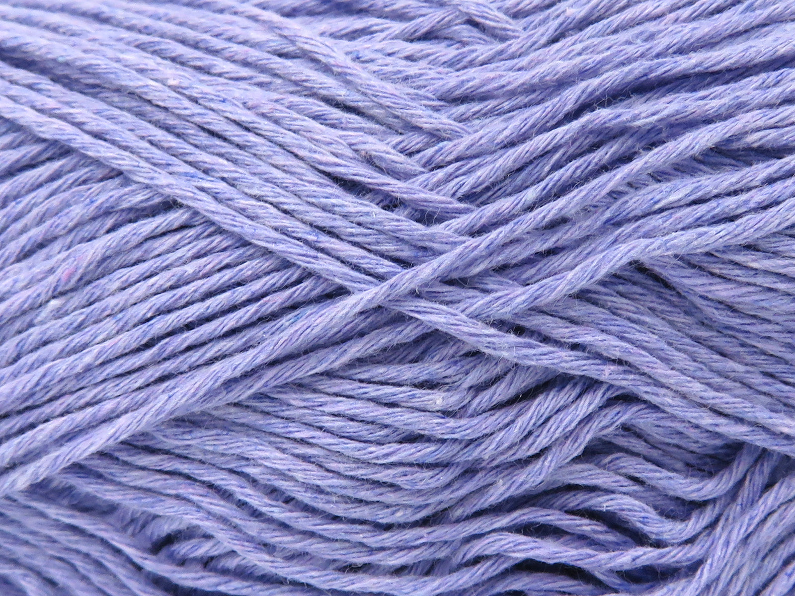 Punch Bluish Lilac fnt2-82595