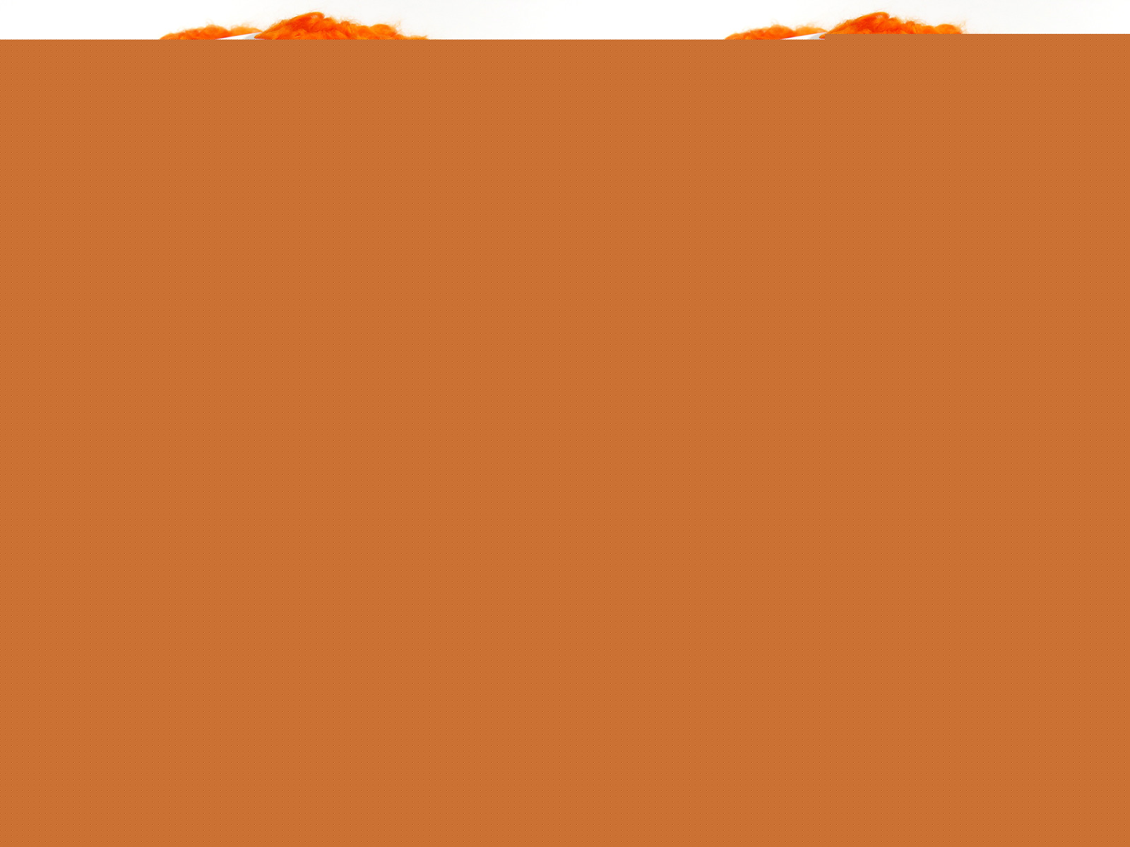 Cloudy Orange fnt2-82945