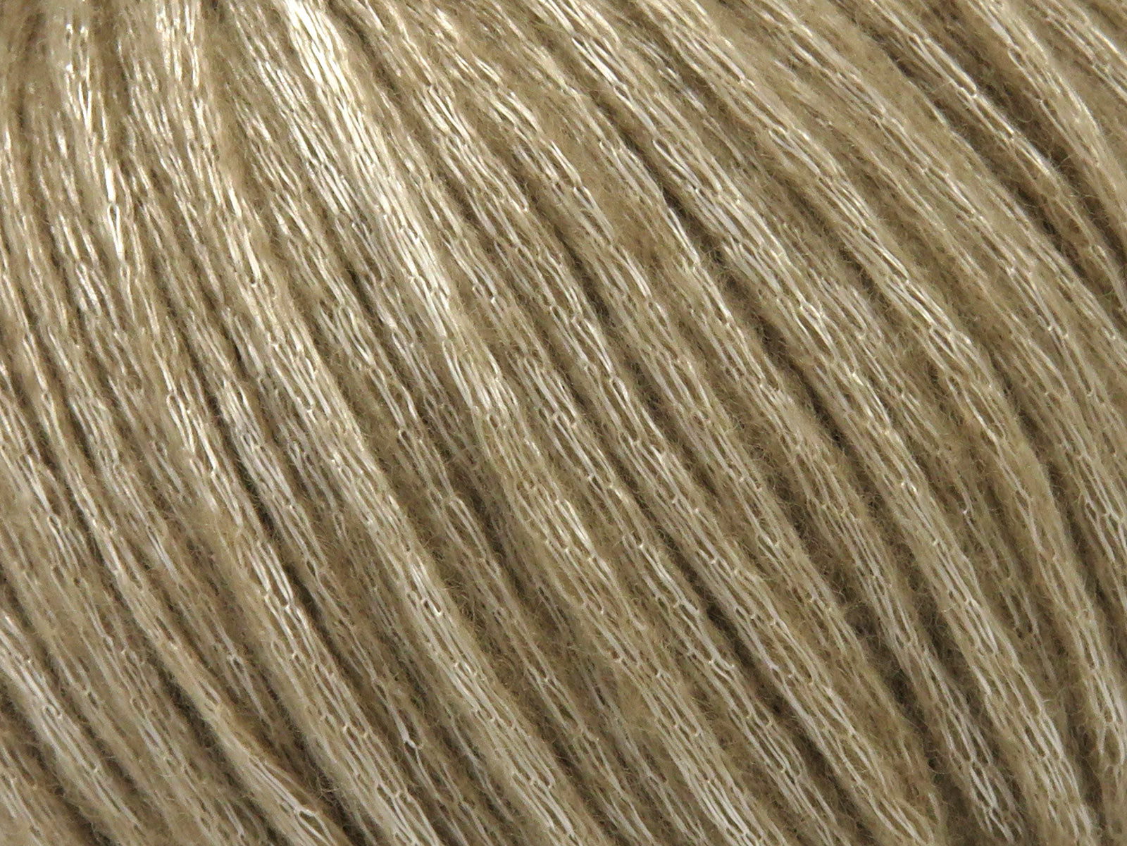 Disco Camel  fnt2-83811