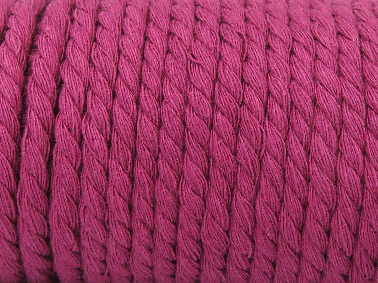 Giant Cotton Cord Orchid fnt2-85156